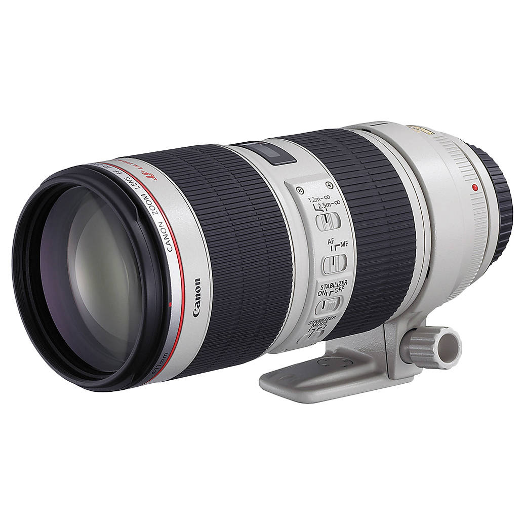 Used Canon EF 17-40mm F/4L USM - Excellent