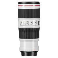 Canon EF 70-200mm f/4L IS II USM Lens 2