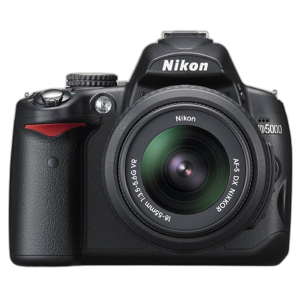 Nikon D500 Revisited: The APS-C Sports & Wildlife King | Photo Insider
