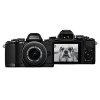 Used Olympus OM-D E-M10 w/ 14-42 (Black) - Excellent 0