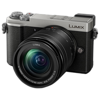 USED EXCELLENT CONDITION GX9 SILVER W/12-60MM 0