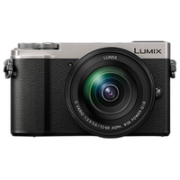 USED EXCELLENT CONDITION GX9 SILVER W/12-60MM 1