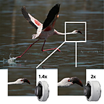 Used Sony FE 200-600mm F5.6-6.3 G OSS Lens - Excellent 2