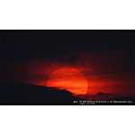 Used Sony FE 200-600mm F5.6-6.3 G OSS Lens - Excellent 16