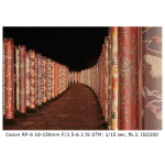 Used Canon EOS R10 Mirrorless Camera (Body Only) - Fair 7