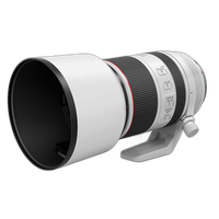 sed Canon RF 70-200mm F2.8 L IS USM Lens - Fair 4
