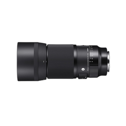 Used Sigma 105mm F2.8 Art DG DN Macro Lens (Sony E) - Fair