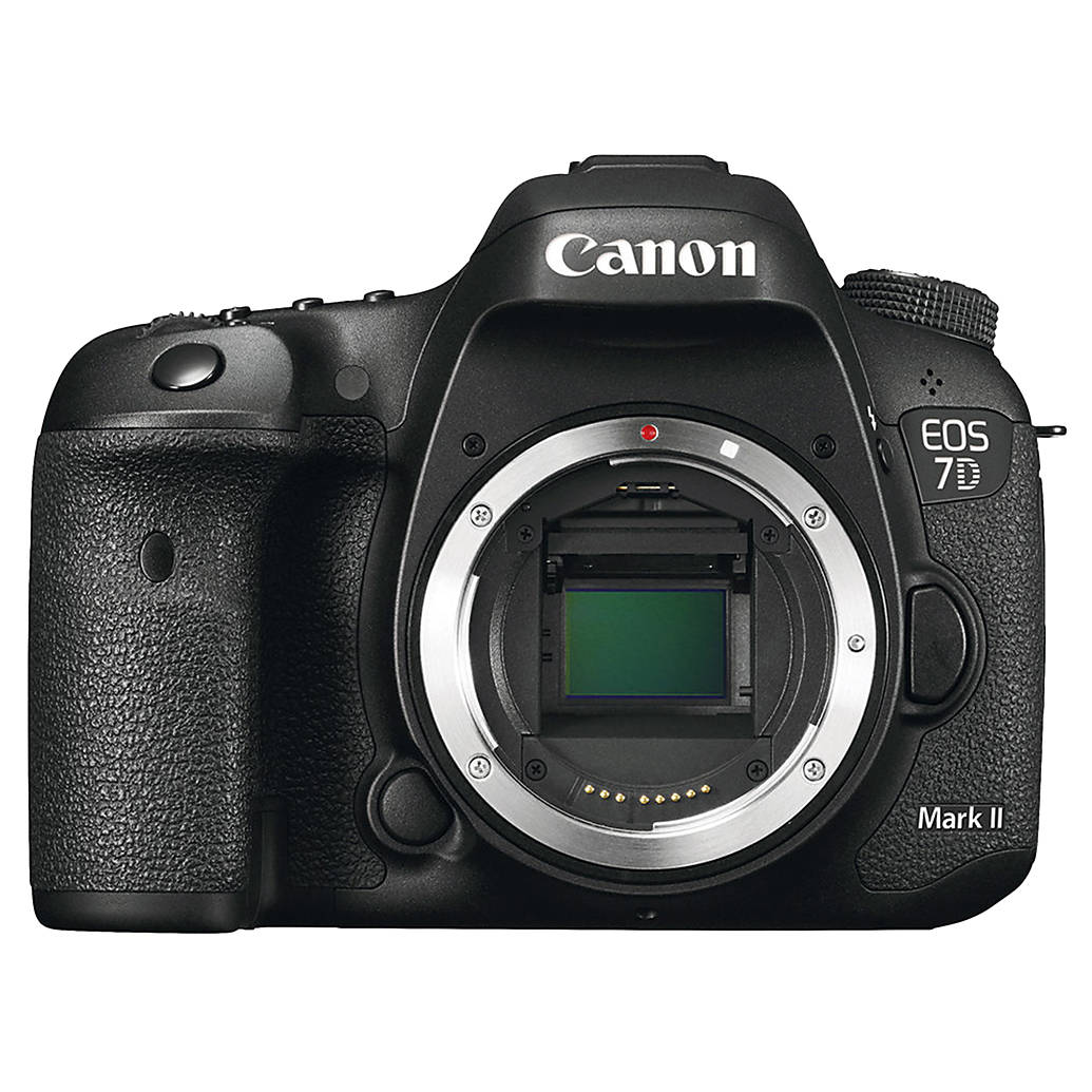 Used Canon 7D Mark II Body Only - Good