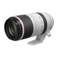 Used Canon RF 100-500mm f/4.5-7.1 L IS USM Lens - Good 1