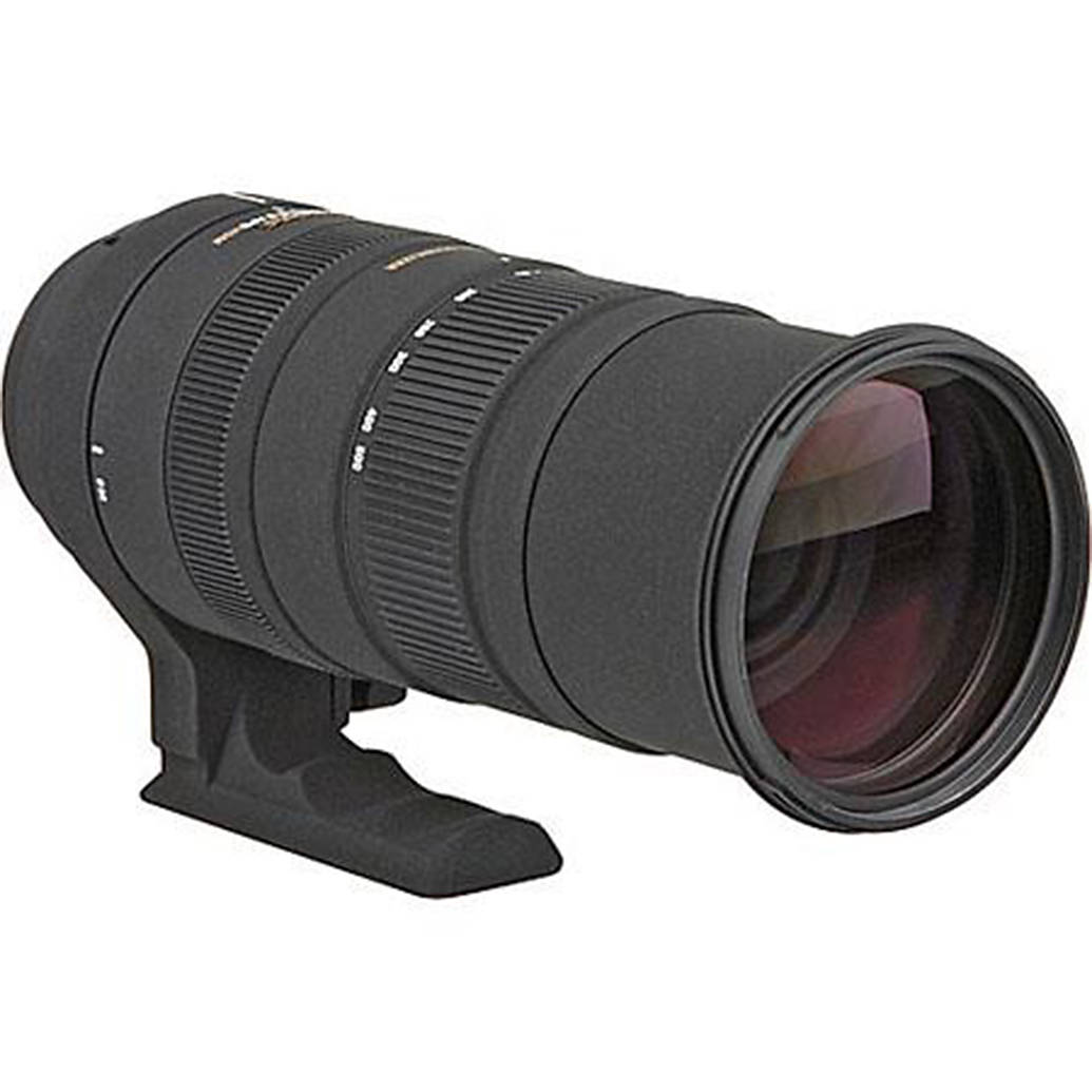 ほぼ新品 SIGMA 150-500mm F5-6.3 APO HSM 返品保証 Amazon.com : Sigma 73A205 150-500mm F/5-6.3 APO HSM DG