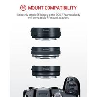 Used Canon EOS R7 Mirrorless Camera (Body Only) - Like New 6