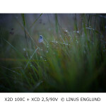 Open Box Hasselblad X2D 100C Medium Format Mirrorless Camera 7