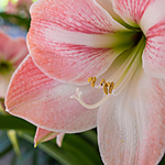 *OPEN BOX* Panasonic DMW-STC14 Lumix S-Series 1.4x Teleconverter 8