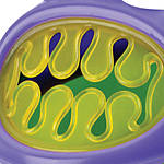 Monster Snack Keeper Flower Snack Keeper 5