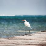 Personal One-on-One Instruction with Michael Downey 7