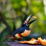 Personal One-on-One Instruction with Michael Downey 10