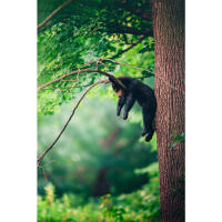 Personal One-on-One: Wildlife Photography with Bobby Stormer 14