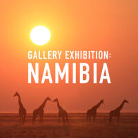 *FREE RSVP* Gallery Exhibition: Namibia 0