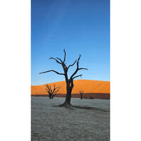 *FREE RSVP* Gallery Exhibition: Namibia 1