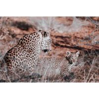 *FREE RSVP* Gallery Exhibition: Namibia 4