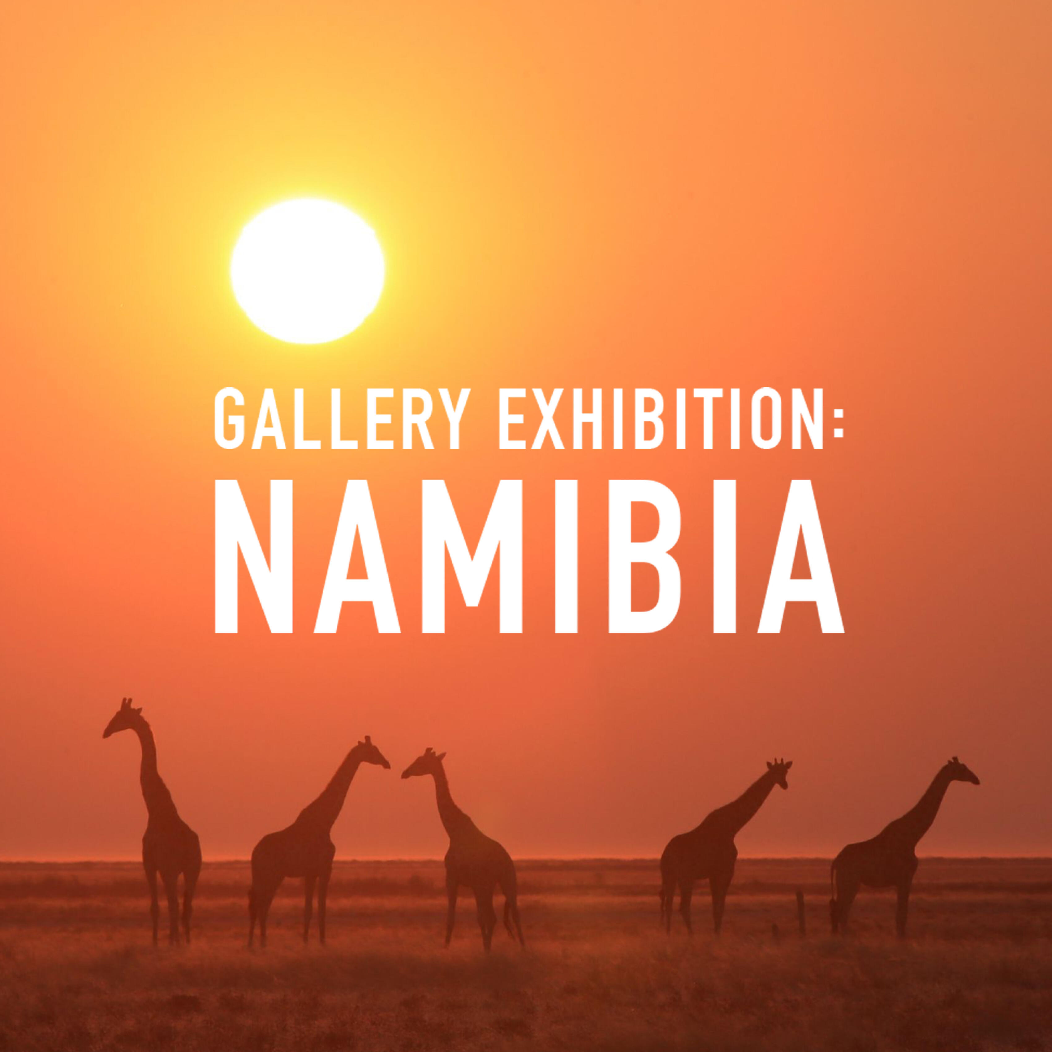 *FREE RSVP* Gallery Exhibition: Namibia