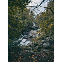 *FREE RSVP* Boonton Photowalk and X Half Giveaway with Fujifilm 4