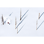 Stories Behind the Images: Talk and Book Signing with Corey Rich (Nikon) 3