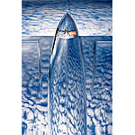 *FREE RSVP* An Afternoon and Book Signing with Jerry Downs 2