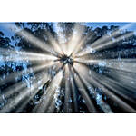 *FREE RSVP* An Afternoon and Book Signing with Jerry Downs 8