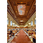 7 Best Spots to Photograph in New York City 3