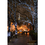 7 Best Spots to Photograph in New York City 4