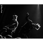 From Fear to Flash with JC Carey (Nikon) 1