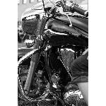 NJs Muscle Car Photography Event - Cars, Bikers, and Models 3