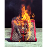 Fundamentals of Film Photography 5