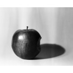 Fundamentals of Film Photography 6