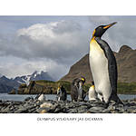 Understanding Your Olympus with Brian Rycyk (Olympus) 1