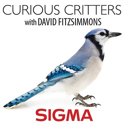 Curious Critters Workshop with Live Animals and David Fitzsimmons SIGMA