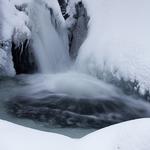 Nature Photography: Composure and Exposure with David Blinder 3