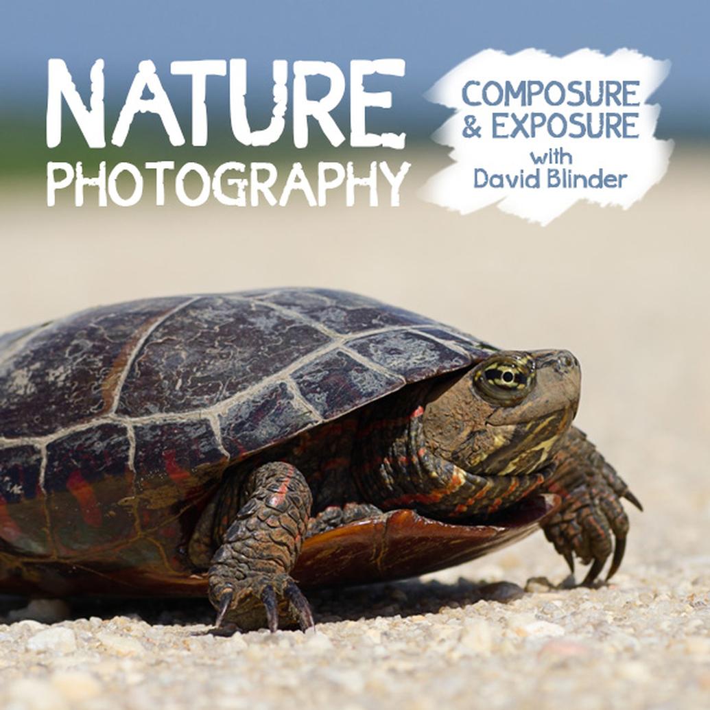 Nature Photography: Composure and Exposure with David Blinder