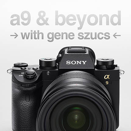 Sony a9 and Beyond with Gene Szucs