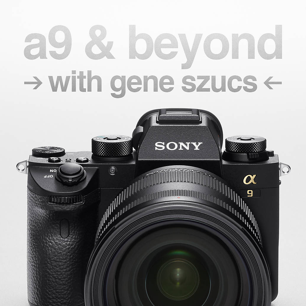 Sony a9 and Beyond with Gene Szucs