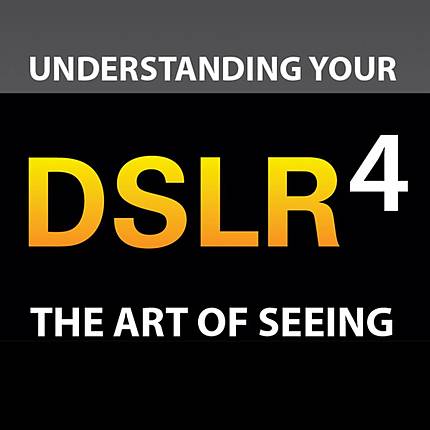 The Art of Seeing: Improving Your Artistic Eye