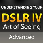 The Art of Seeing: Improving Your Artistic Eye 2
