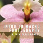 Intro to Macro Photography 0