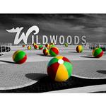 Intro to Photoshop with Don Polzo (8 Sessions) 2