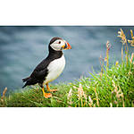 Editing and Enhancing Landscape and Nature Photography with Photoshop 3