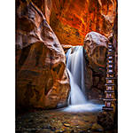 Editing and Enhancing Landscape and Nature Photography with Photoshop 8