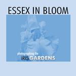 Essex in Bloom: Photographing the Iris Gardens 0