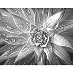Print What You See: Ways to Print Photos with Martin Bluhm 1