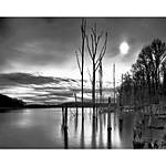 Print What You See: Ways to Print Photos with Martin Bluhm 3